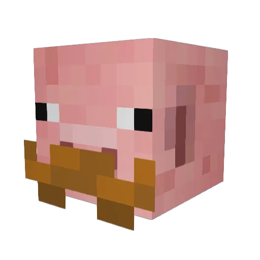 TheQueenOfLlamas Minecraft avatar head, 3D render