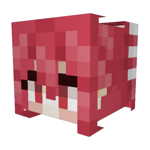 TheQuestHammer Minecraft avatar head, 3D render
