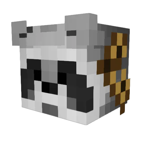 TheRacc_ Minecraft avatar head, 3D render