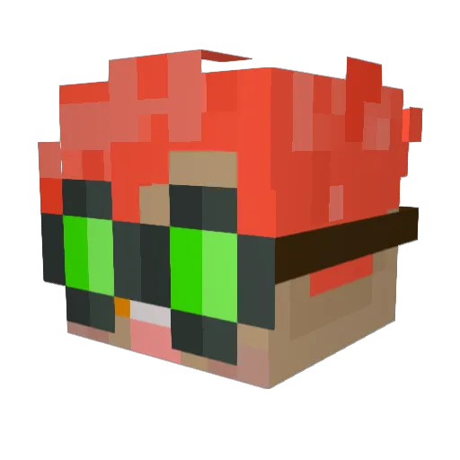 TheRadicalEd Minecraft avatar head, 3D render