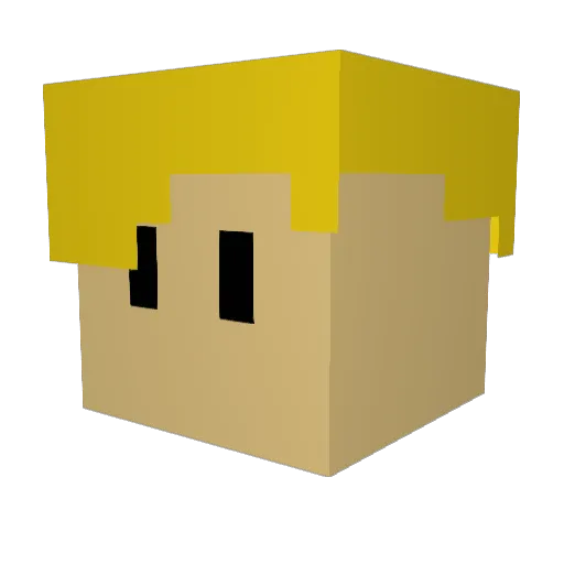 TheRafster Minecraft avatar head, 3D render
