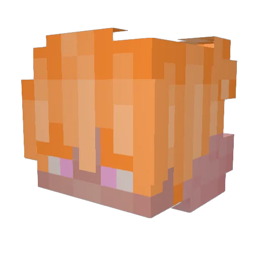TheRagingOfNerds Minecraft avatar head, 3D render