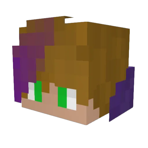 TheRaidenShulk Minecraft avatar head, 3D render