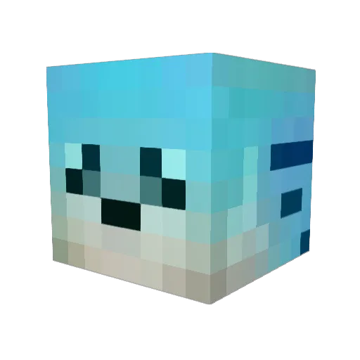 TheRaider1234 Minecraft avatar head, 3D render