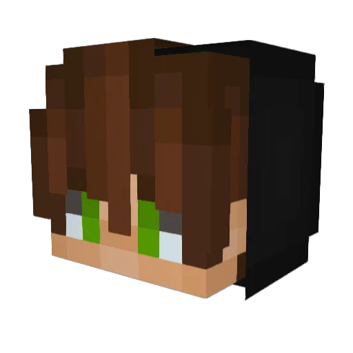 TheRaigbaiter Minecraft avatar head, 3D render