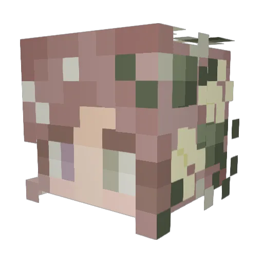 TheRainbowFern Minecraft avatar head, 3D render