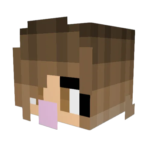 TheRainbowParrot Minecraft avatar head, 3D render
