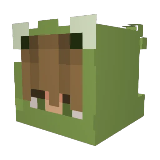 TheRainnMaker Minecraft avatar head, 3D render