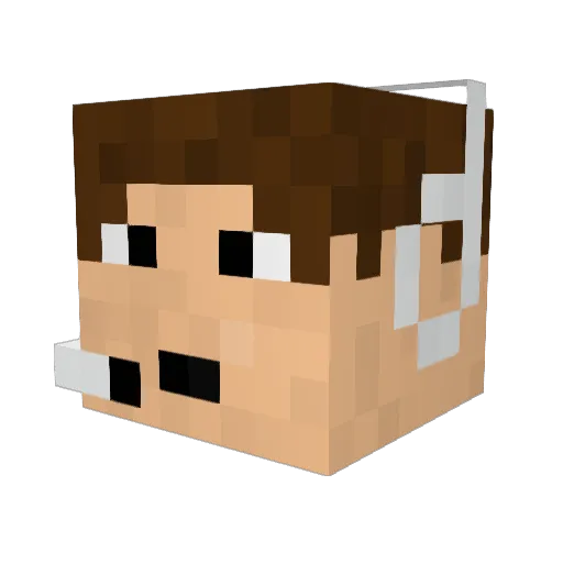 TheRandomDude Minecraft avatar head, 3D render