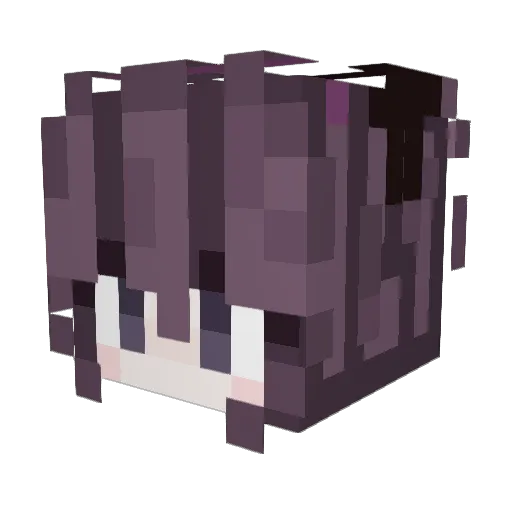 TheRandomIceBear Minecraft avatar head, 3D render