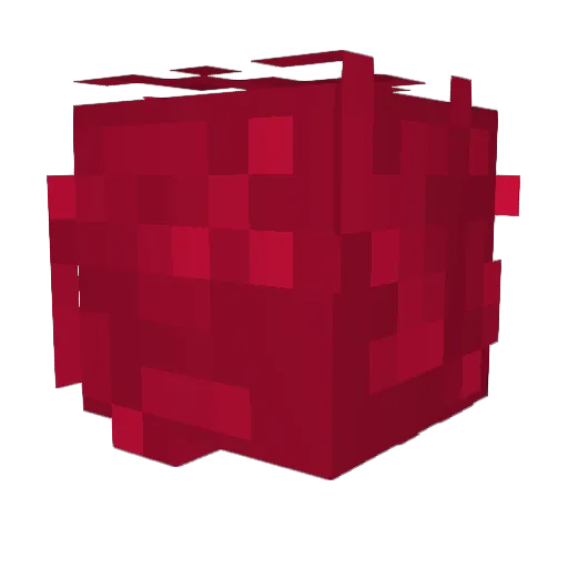 TheRandomizer42 Minecraft avatar head, 3D render