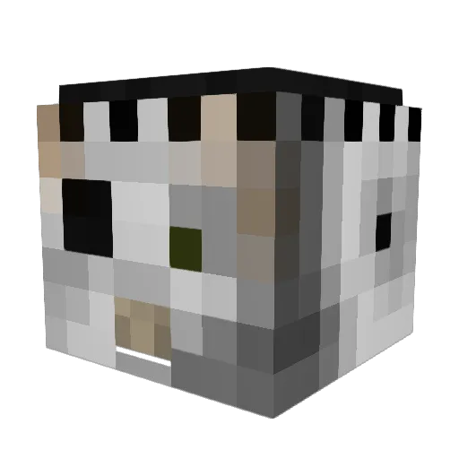 TheRaptor2214 Minecraft avatar head, 3D render