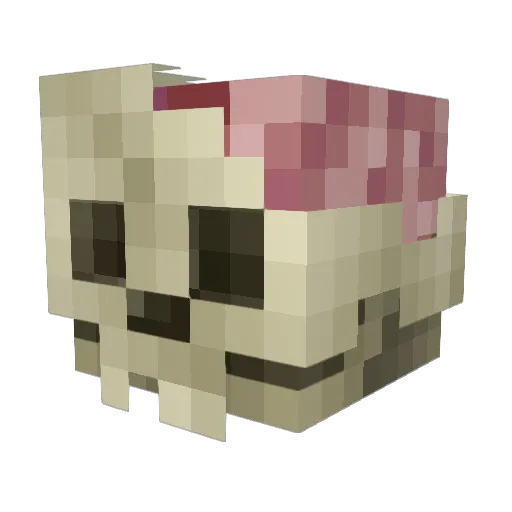 TheRayLax Minecraft avatar head, 3D render