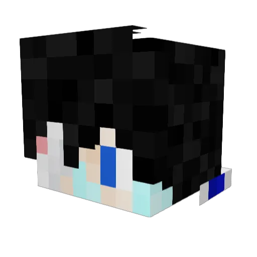 TheReal2BowShow Minecraft avatar head, 3D render