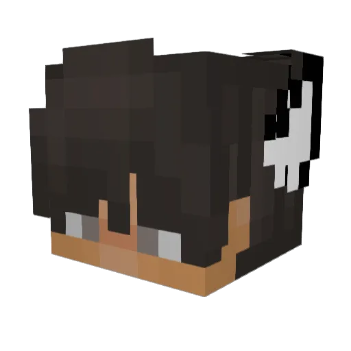 TheRealAsuma Minecraft avatar head, 3D render