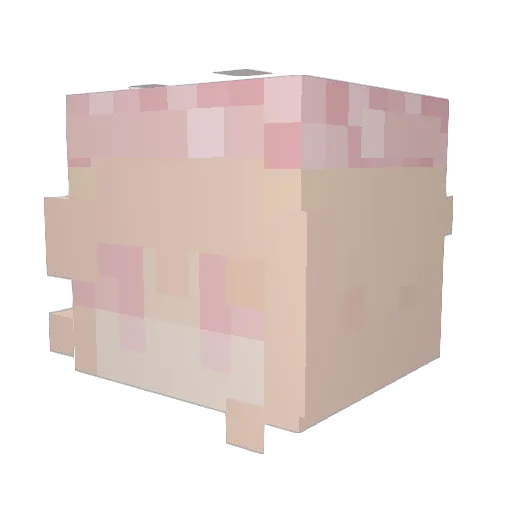 TheRealAyceP Minecraft avatar head, 3D render