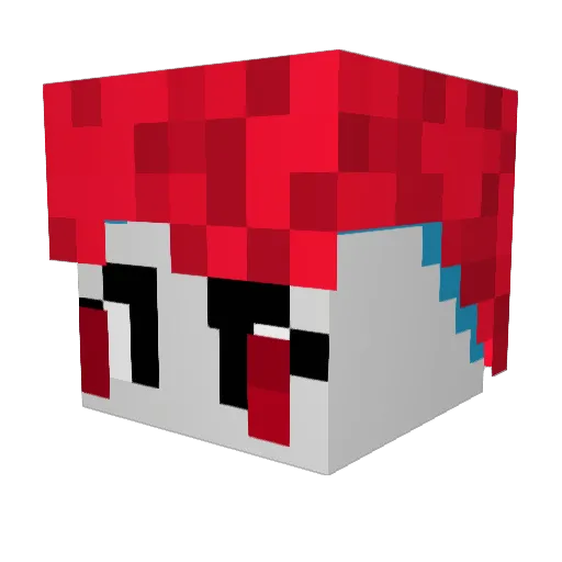 TheRealBL4M3R Minecraft avatar head, 3D render
