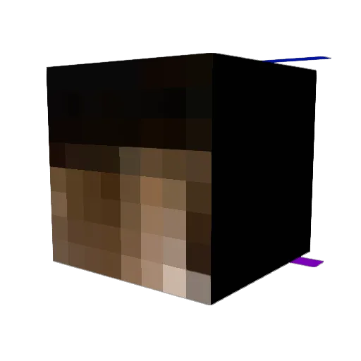 TheRealCat06 Minecraft avatar head, 3D render