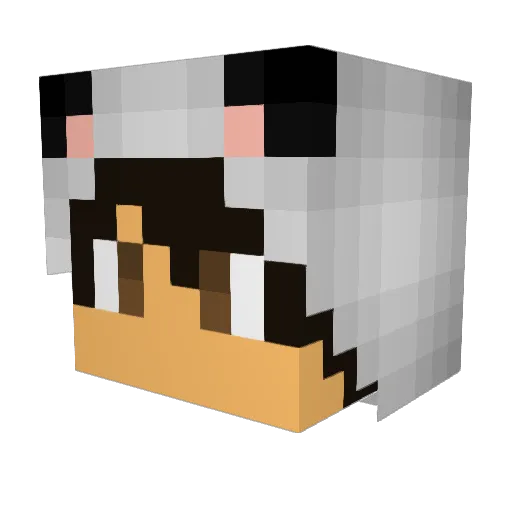 TheRealChilly Minecraft avatar head, 3D render