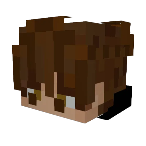 TheRealCoolDog Minecraft avatar head, 3D render