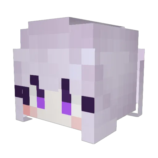 TheRealDoxer Minecraft avatar head, 3D render