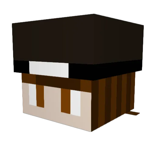 TheRealDragons1 Minecraft avatar head, 3D render
