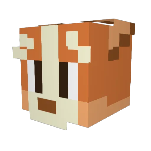 TheRealDrewDog Minecraft avatar head, 3D render