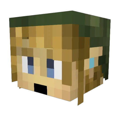 TheRealDro Minecraft avatar head, 3D render