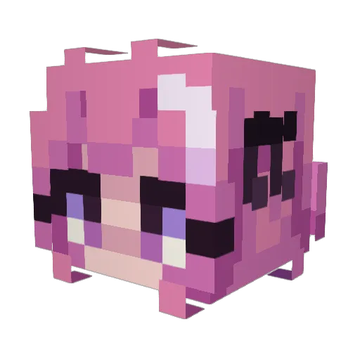 TheRealFee Minecraft avatar head, 3D render