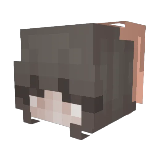 TheRealFknJay Minecraft avatar head, 3D render