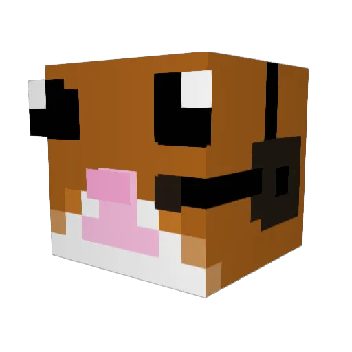 TheRealHampter Minecraft avatar head, 3D render