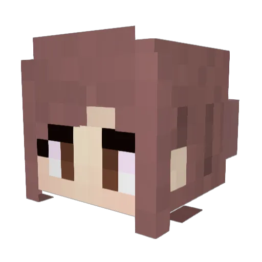 TheRealMisc Minecraft avatar head, 3D render