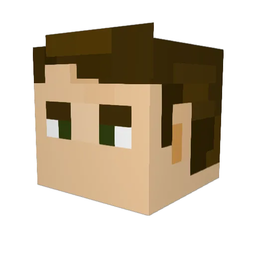 TheRealNadal Minecraft avatar head, 3D render