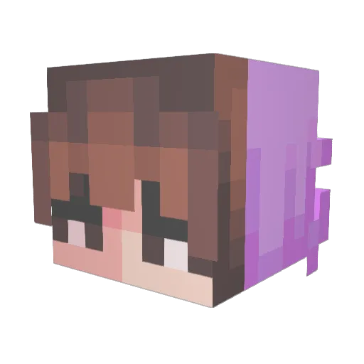 TheRealNewOne Minecraft avatar head, 3D render