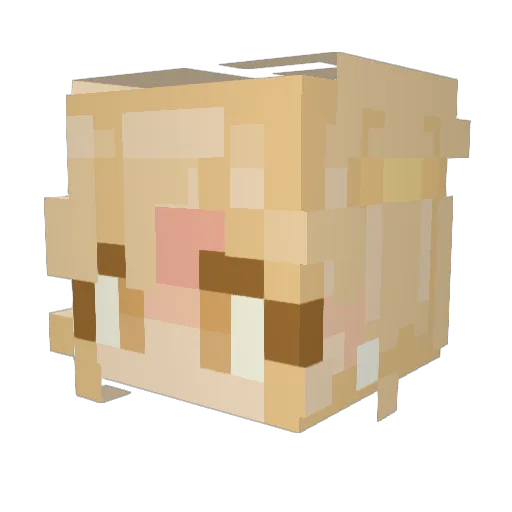 TheRealNinjaMan Minecraft avatar head, 3D render