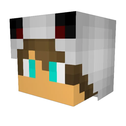 TheRealRadar Minecraft avatar head, 3D render