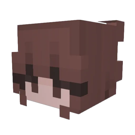 TheRealRetasuu Minecraft avatar head, 3D render