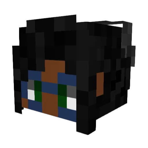 TheRealRobinHood Minecraft avatar head, 3D render