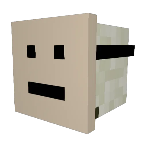TheRealSeal007 Minecraft avatar head, 3D render