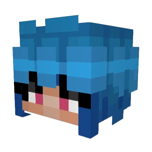 TheRealShiki Minecraft avatar head, 3D render