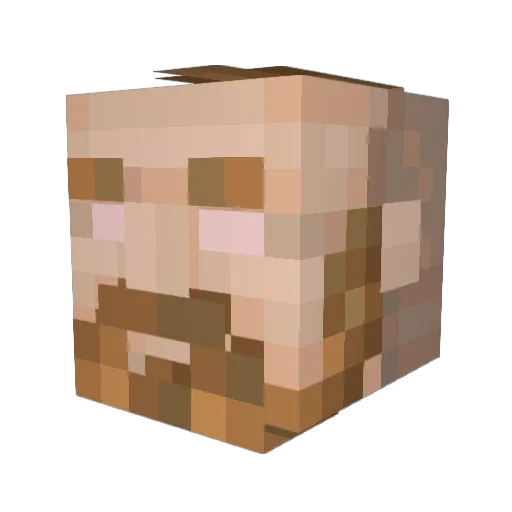 TheRealZolla Minecraft avatar head, 3D render