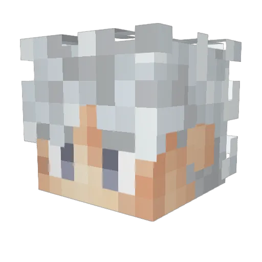 TheReal_Real Minecraft avatar head, 3D render