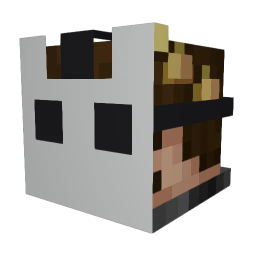 TheRealflocan Minecraft avatar head, 3D render