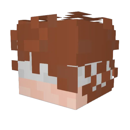 TheReaper665 Minecraft avatar head, 3D render