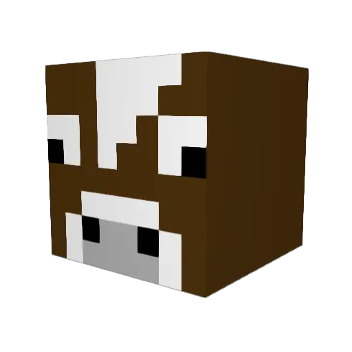 TheRearranger Minecraft avatar head, 3D render