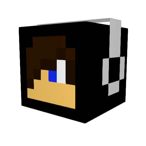 TheRecluse Minecraft avatar head, 3D render