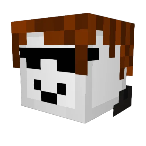 TheRedBacon69 Minecraft avatar head, 3D render