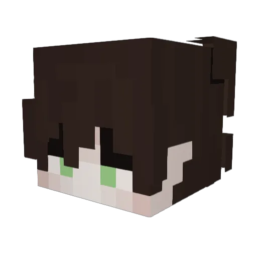 TheRedBear7 Minecraft avatar head, 3D render