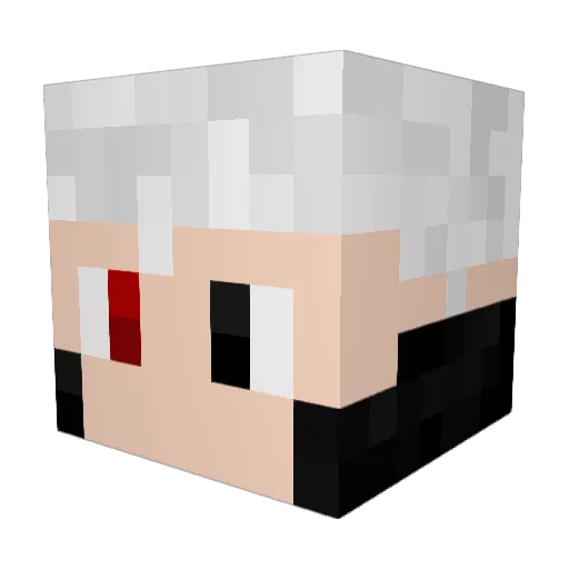 TheRedDragon27 Minecraft avatar head, 3D render