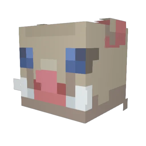 TheRedNinja01 Minecraft avatar head, 3D render